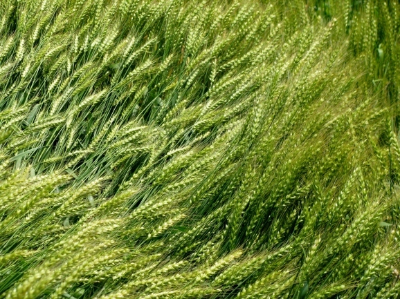 c0345705_07383849.jpg
