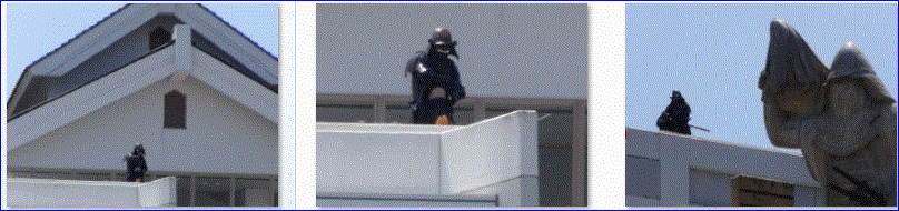 f0231709_15141387.gif