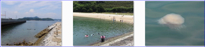 f0231709_15264574.gif