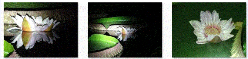 f0231709_22511870.gif