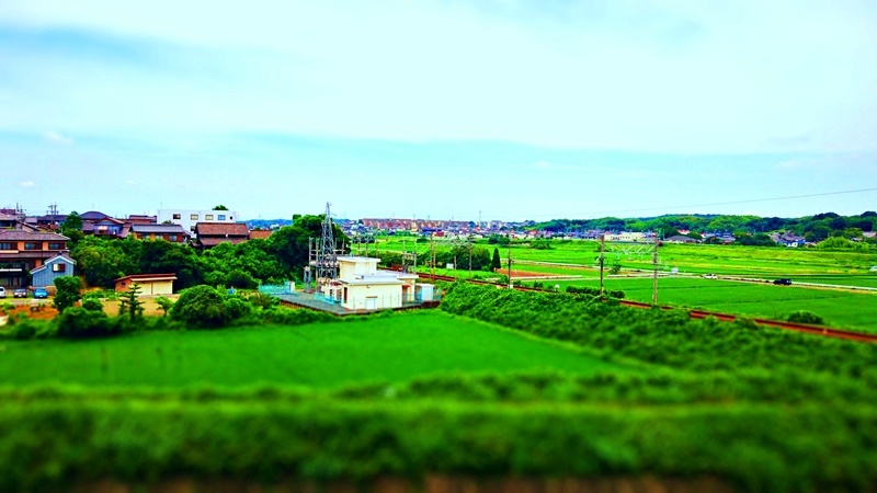 f0369010_23192606.jpg