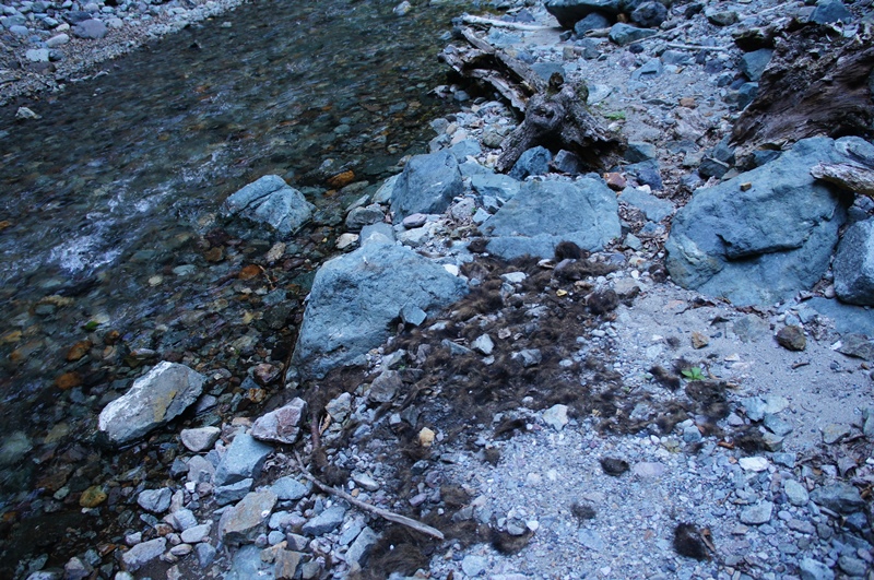 e0165011_2272465.jpg