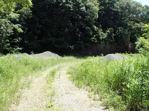 e0293913_15423929.jpg