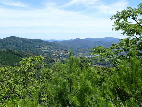 e0293913_1551325.jpg