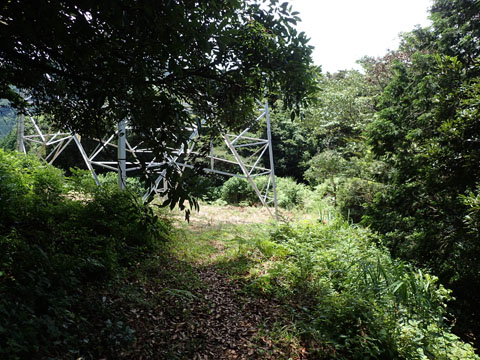e0293913_16111819.jpg