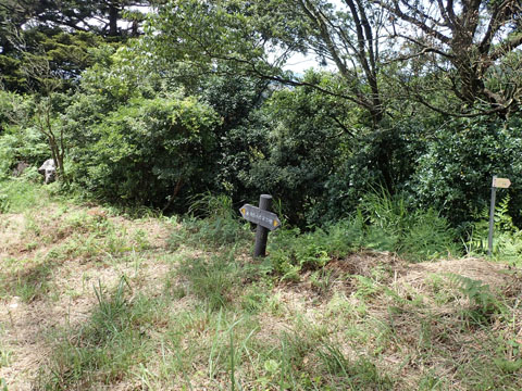 e0293913_16114021.jpg