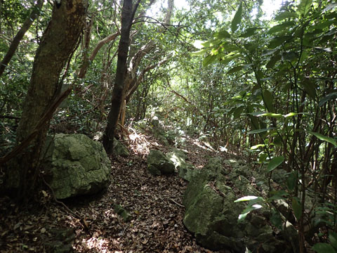 e0293913_16125516.jpg