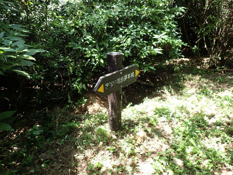 e0293913_16172985.jpg