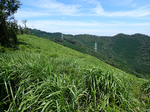 e0293913_16182022.jpg