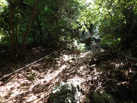 e0293913_16185228.jpg