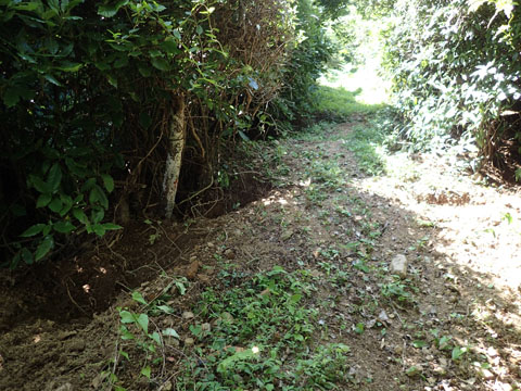 e0293913_1625553.jpg