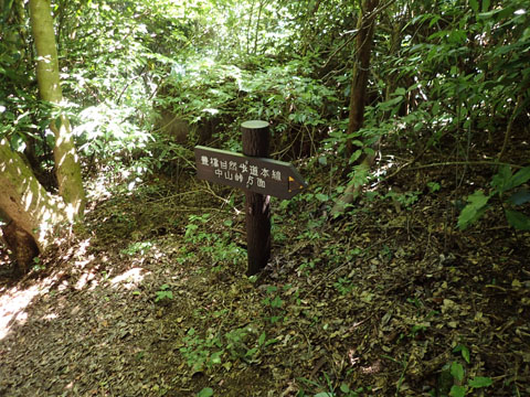 e0293913_16272815.jpg