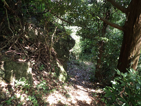 e0293913_1628187.jpg