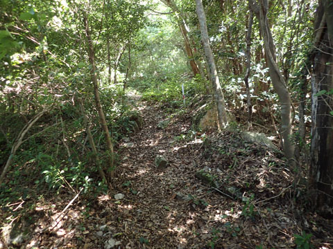e0293913_16292227.jpg
