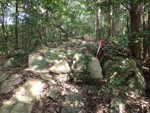e0293913_16302421.jpg