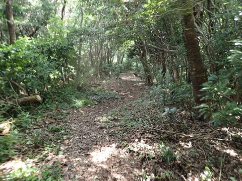 e0293913_16344520.jpg