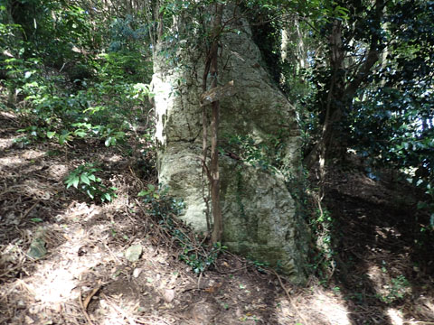 e0293913_16355526.jpg
