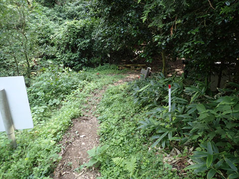 e0293913_1637205.jpg