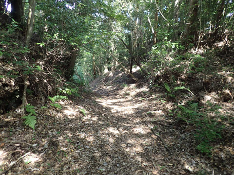 e0293913_16394571.jpg