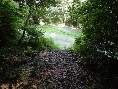 e0293913_16442110.jpg