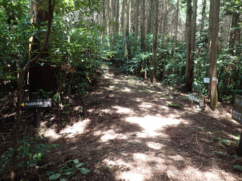 e0293913_1682998.jpg