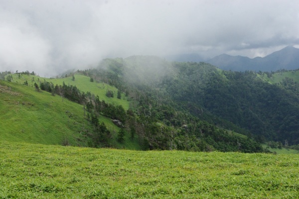 d0341514_21022512.jpg