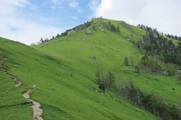 d0341514_21332481.jpg