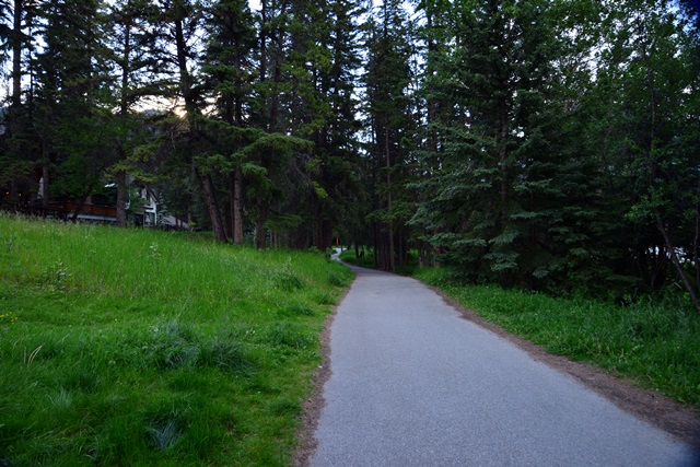 f0046614_1432178.jpg