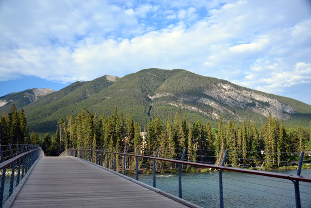 f0046614_1437421.jpg