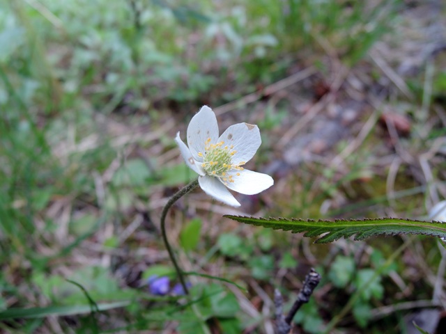 f0046614_15381553.jpg