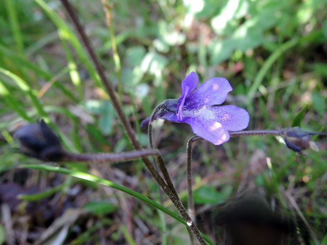 f0046614_15403141.jpg