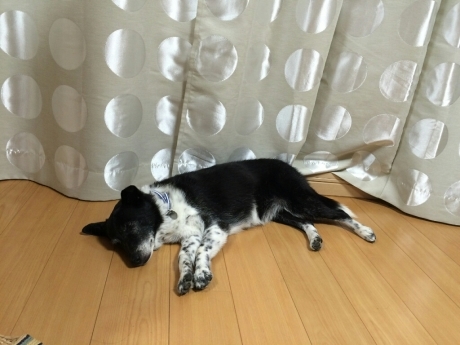 b0274815_07321470.jpg