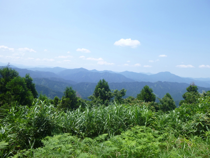 佐々木小次郎ゆかりの源流の滝がある　権現山(565M)に登る_d0170615_1093943.jpg