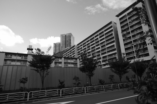 b0310424_15433446.jpg