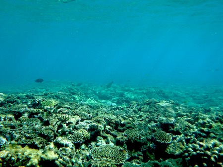 b0104826_16530300.jpg