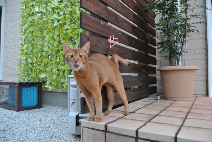 a0099131_13115840.jpg