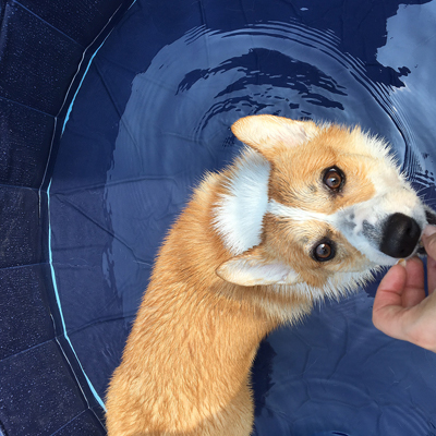 プールで特訓_f0035333_16312912.jpg