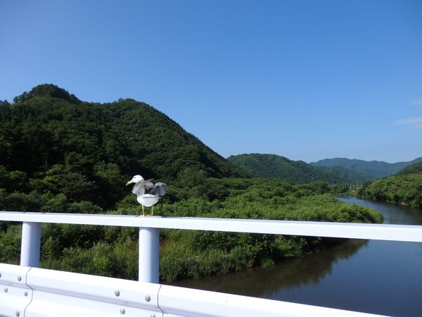 岩泉も夏本番！～夜のBGMは水音とトラツグミの鳴き声～_b0206037_07444419.jpg