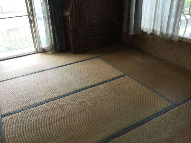 初日作業_f0031037_20291571.jpg