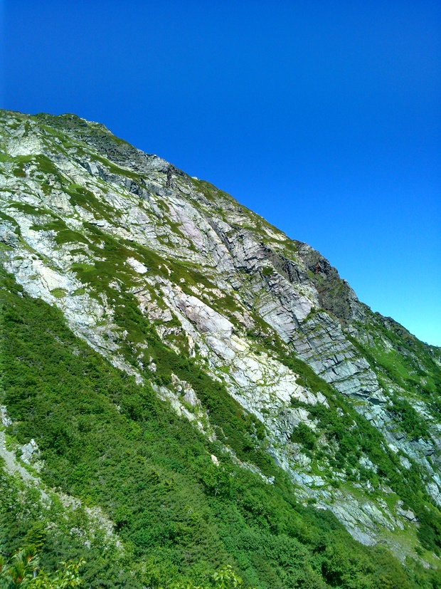 d0107938_1815331.jpg