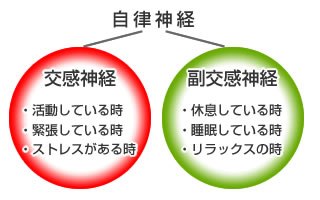 a0286340_2134268.jpg