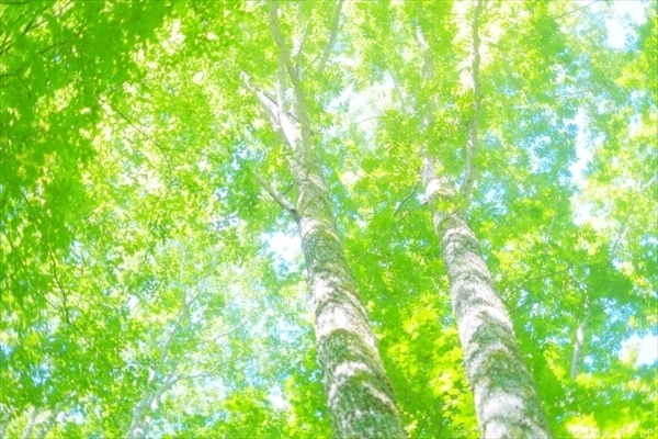 c0228945_17073912.jpg