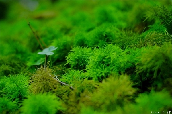 c0228945_17103556.jpg