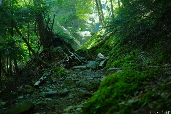 c0228945_17134182.jpg