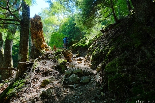 c0228945_17134186.jpg