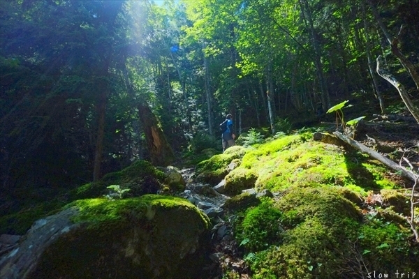 c0228945_17134243.jpg
