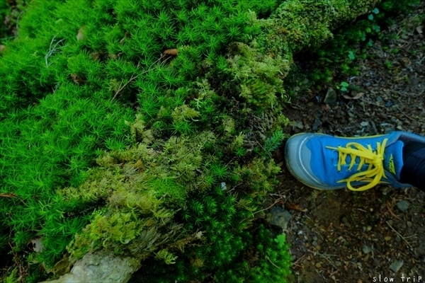 c0228945_17153751.jpg