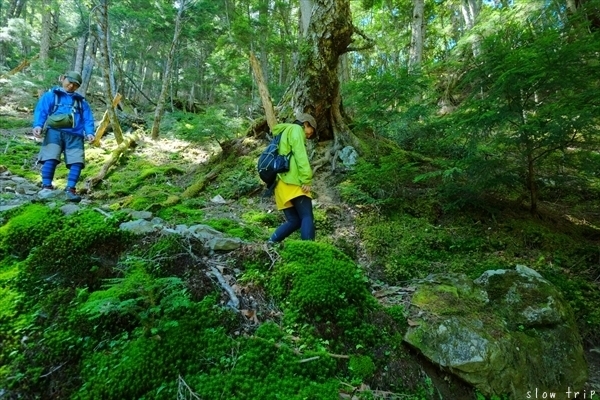 c0228945_17153768.jpg