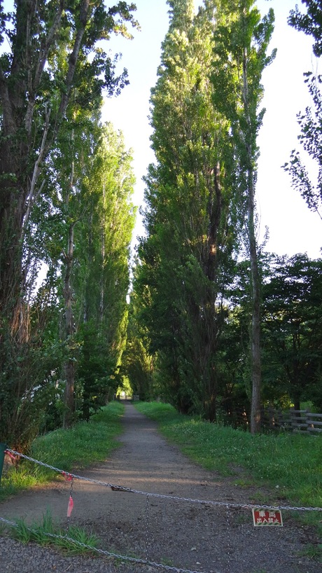 a0072247_17495551.jpg