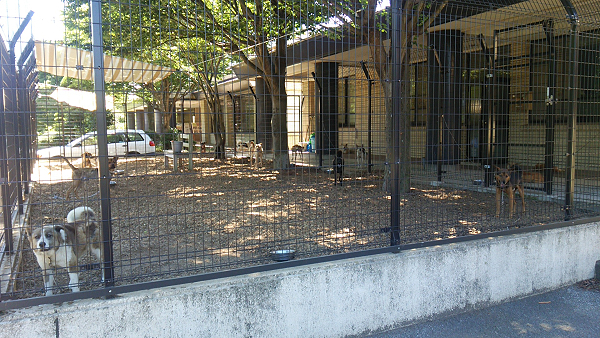 e0349048_10363337.jpg